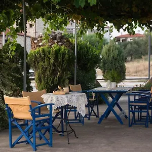 Palm Tree , Psakoudia Grecia